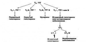 Гипотиреоз ттг т4. Показатели ТТГ И т4 при гипотиреозе. Гипотиреоз показатели т3 и ТТГ. ТТГ И т4 при гипотиреозе. Гормоны щитовидной железы ТТГ т3 т4 норма.
