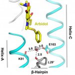 Арбидол: отзывы врачей