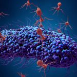 Бактериофаги атакуют бактерию