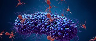 Bacteriophages attack bacteria