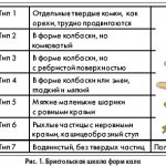 Бристольская шкала