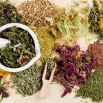 medicinal plants