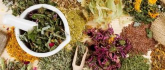 medicinal plants