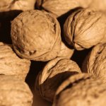What are the benefits or harms of walnuts?