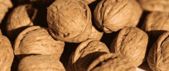 What are the benefits or harms of walnuts?