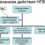 Действие противовоспалительных препаратов