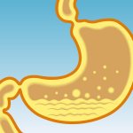 Действует на содержимое желудка