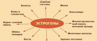 Джес Плюс: инструкция по применению