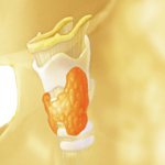 эндемический зоб