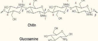 Glucosamine Chondroitin reviews