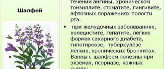 Грудной сбор 3. Состав трав, инструкция по применению, отзывы