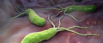 Хеликобактериоз. Симптомы и лечение взрослых, детей