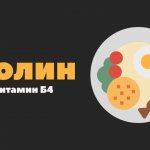 Холин: витамин Б4