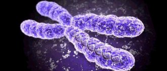 Chromosome