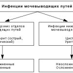 инфекции мочевыводящих путей