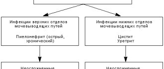 инфекции мочевыводящих путей
