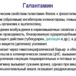 Инструкция