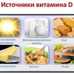Sources of vitamin D