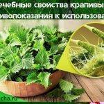 medicinal properties of nettle