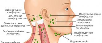 Lymph nodes in the neck - photo