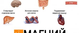 Magne B6, Magne B6 Forte. Instructions for use, indications, contraindications, how to take