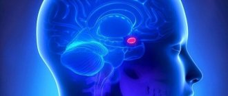 Mammotropin is produced in the anterior pituitary gland
