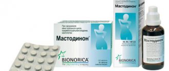 Мастодинон