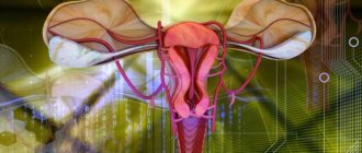 saddle-shaped uterus