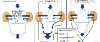 Diuretic herbs for swelling of the face under the eyes. List of the best preparations: names and reviews, how to prepare and take at home
