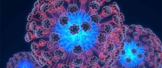Нейтрофилы клетки