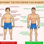 Низкий и высокий тестостерон