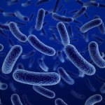 нормофлорин отзывы ребенку