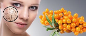 Sea buckthorn oil: medicinal properties and contraindications for the face