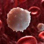 Определение уровня WBC является одним из важных показателей в общем анализе крови