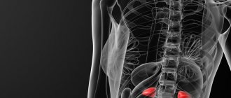 Adrenal tumor: symptoms in women and men