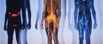 human organism