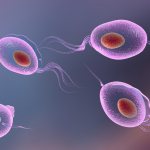 Osarbon candles instructions reviews