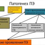 Патогенез ПЭ