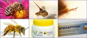 Полезные свойства мазей с пчелиным ядом