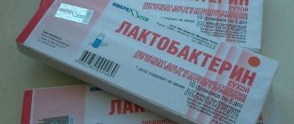 Порошок Лактобактерин в упаковках