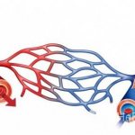 При гиповолемии уменьшается объем циркулирующей крови