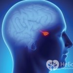 Проблемы с повышенным ТТГ могут возникать из-за поражений мозга