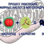 Fatty acid oxidation process