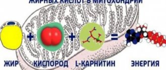 Fatty acid oxidation process