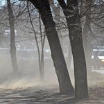 Пыль на улице