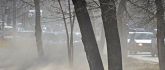 Пыль на улице