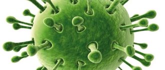 Ротавирус при увеличении