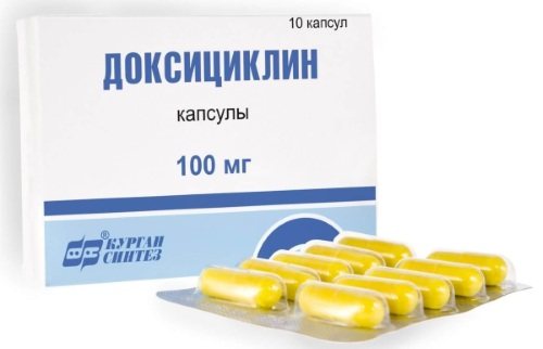 Сифилисный шанкр (твердый): как выглядит у мужчин и женщин, когда ...