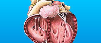 Symptoms of cardiopathy