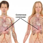 Солнечное сплетение у человека. Где находится, почему боль, тяжесть, давит, колит, жжение, дискомфорт. Фото, анатомия